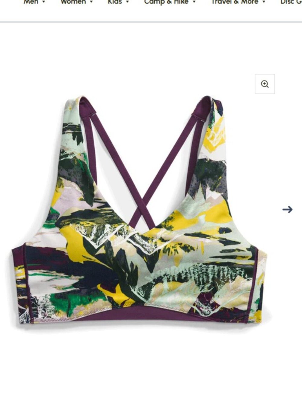 NWT THE NORTH FACE Dune Sky Valley Shine Sports Bra Women’s Medium Multicolor